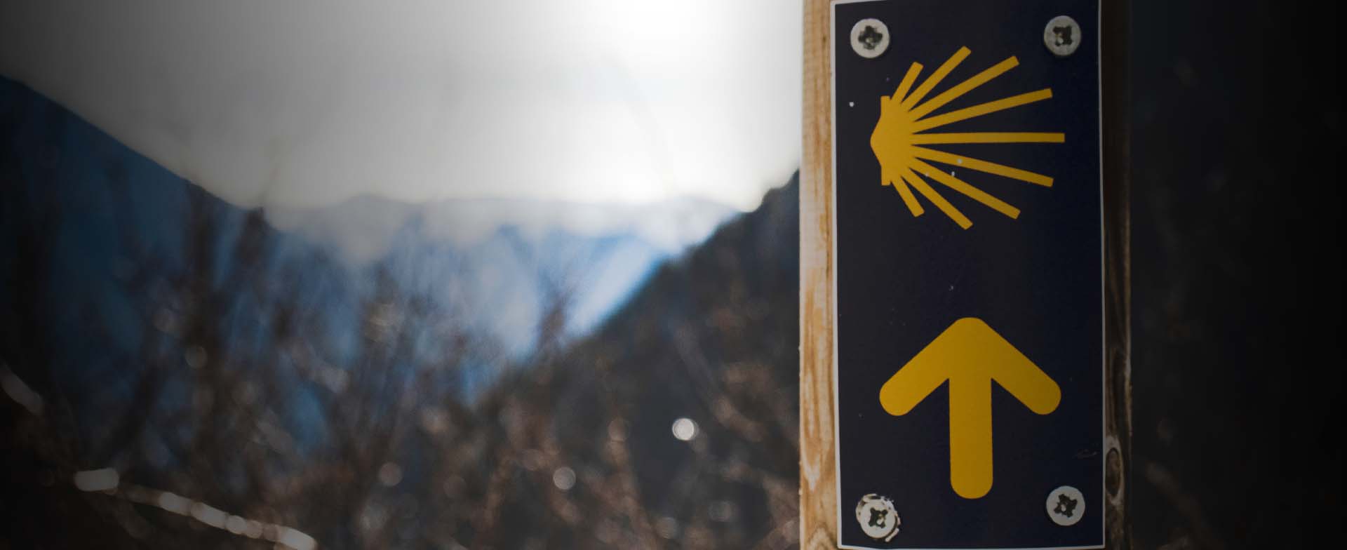 Mochilas Camino de Santiago