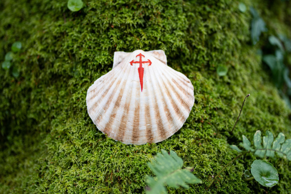 Camino Francés transporte de mochilas