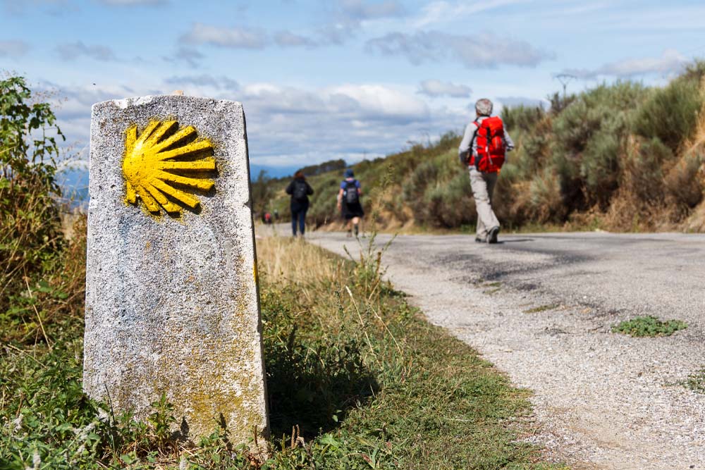 Camino Sanabrés Vía de la Plata